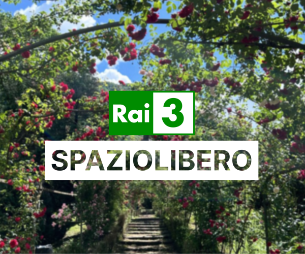 Servizio TV – SPAZIOLIBERO