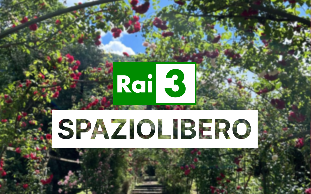 Servizio TV – SPAZIOLIBERO